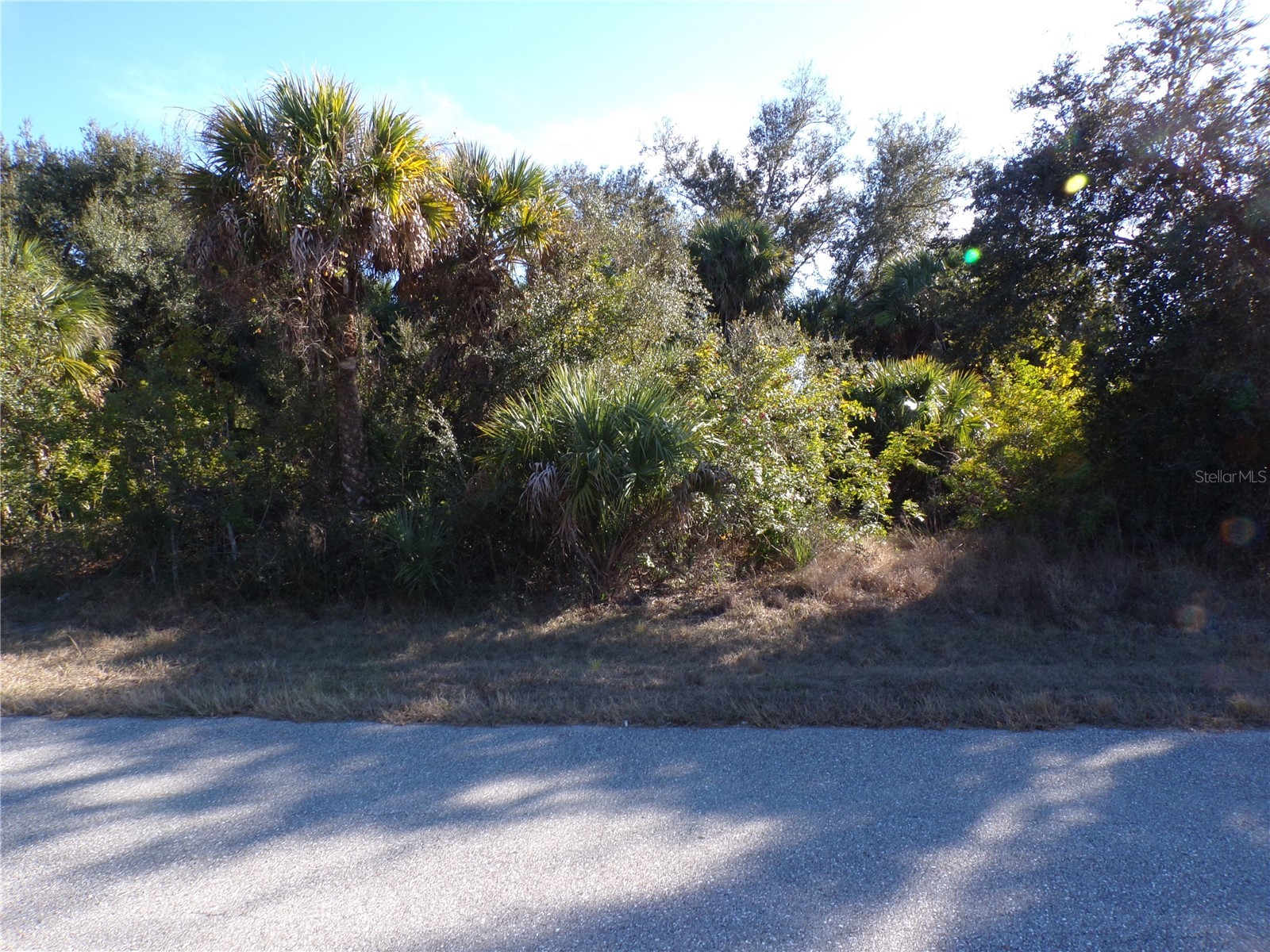 20019 Arnold Avenue Port Charlotte FL 33954 C7521234 image4
