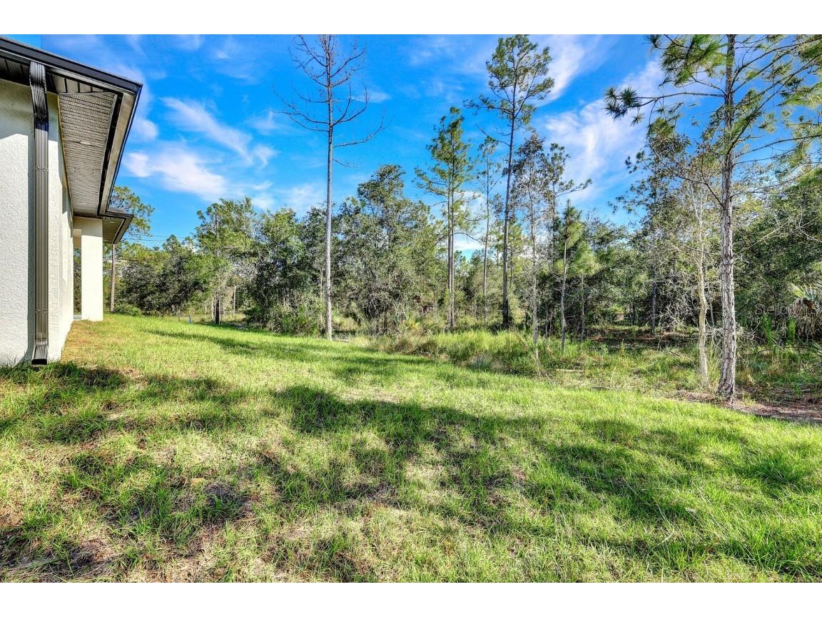 2002 E 10th Street Lehigh Acres FL 33936 TB8439709 image24