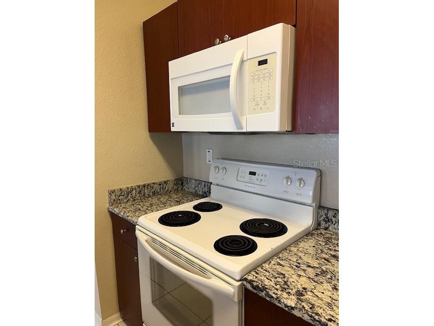 2002 E 5th Avenue #302 Tampa FL 33605 TB8455375 image7