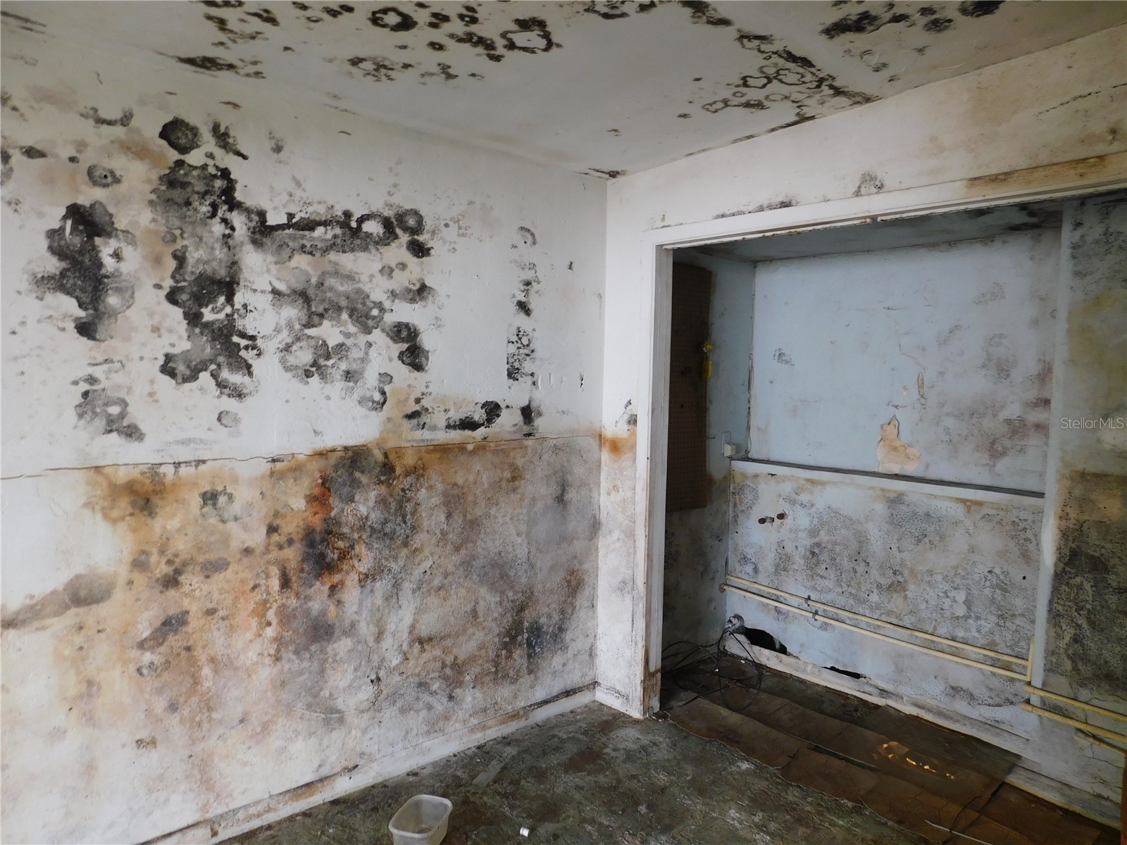 2002 E Okaloosa Avenue Tampa FL 33604 TB8465194 image13