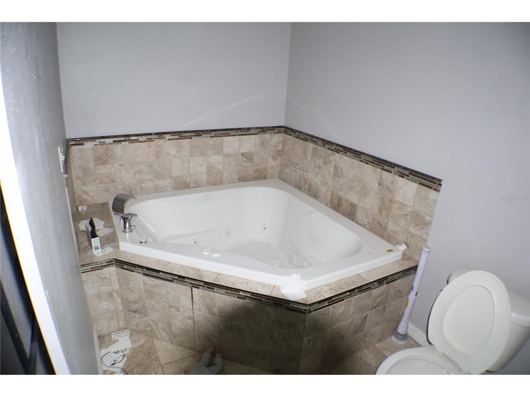 2002 Peaceful Palm Street Ruskin FL 33570 A4693643 image12
