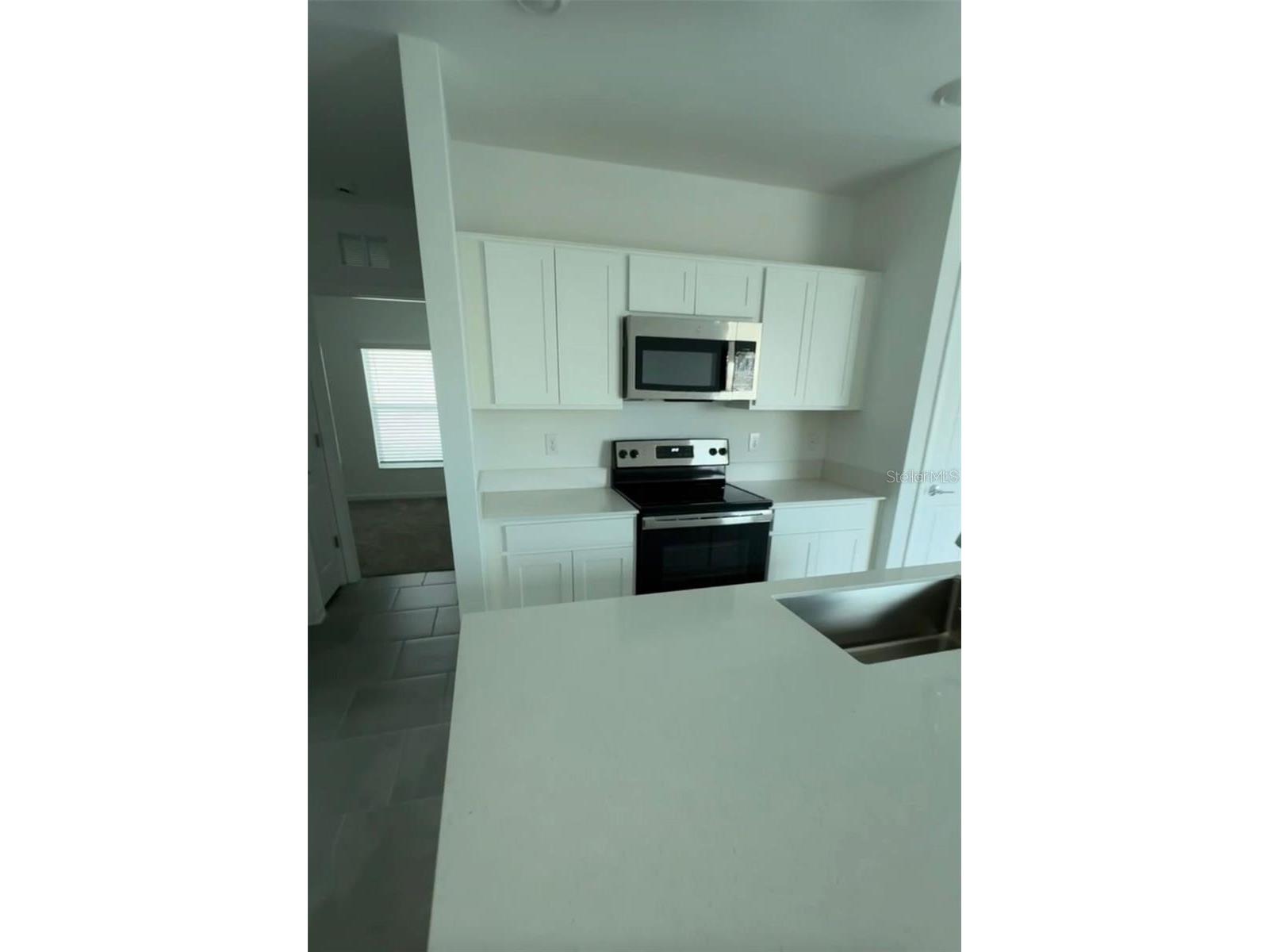 2002 Punch Bowl Avenue Davenport FL 33837 O6404477 image3
