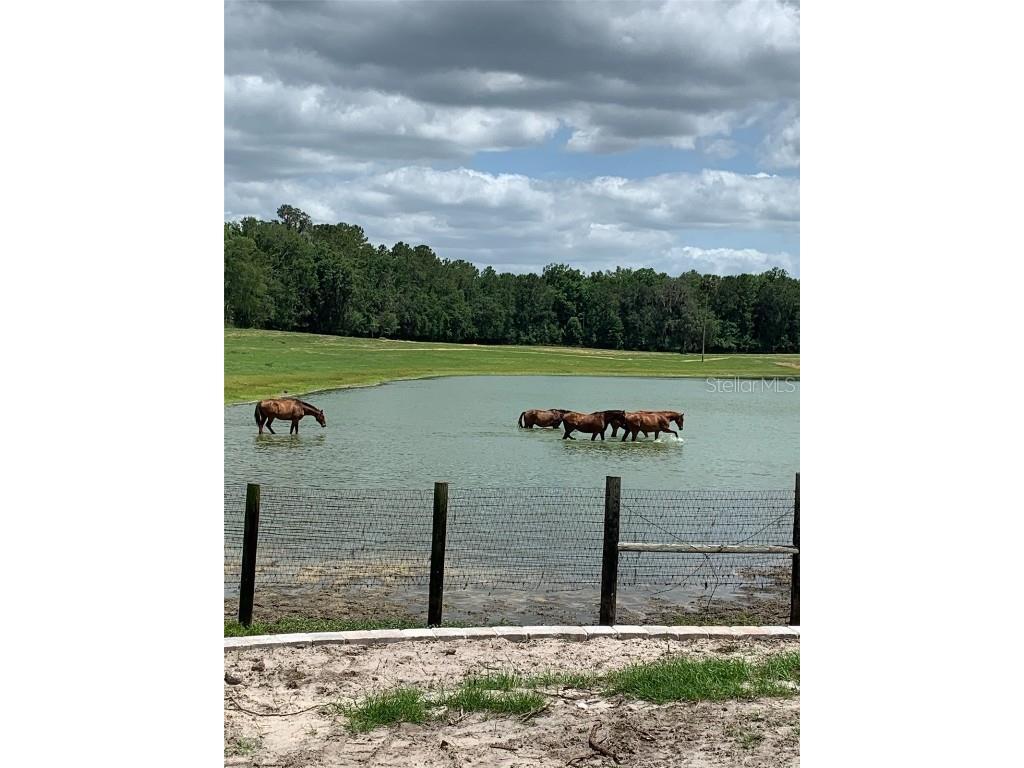 2002 SW 44th Lane Ocala FL 34471 G5097055 image4