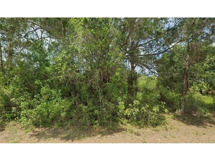 2002 W 18th Street Lehigh Acres FL 33972 T3442282 image1