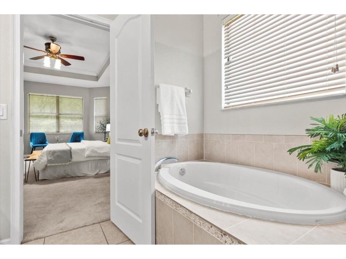 20020 Outpost Point Drive Tampa FL 33647 TB8397979 image41