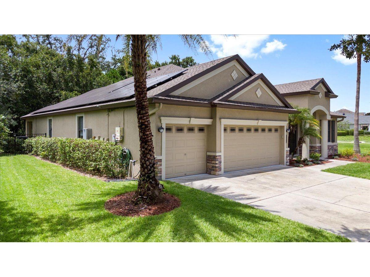 20020 Outpost Point Drive Tampa FL 33647 TB8397979 image66