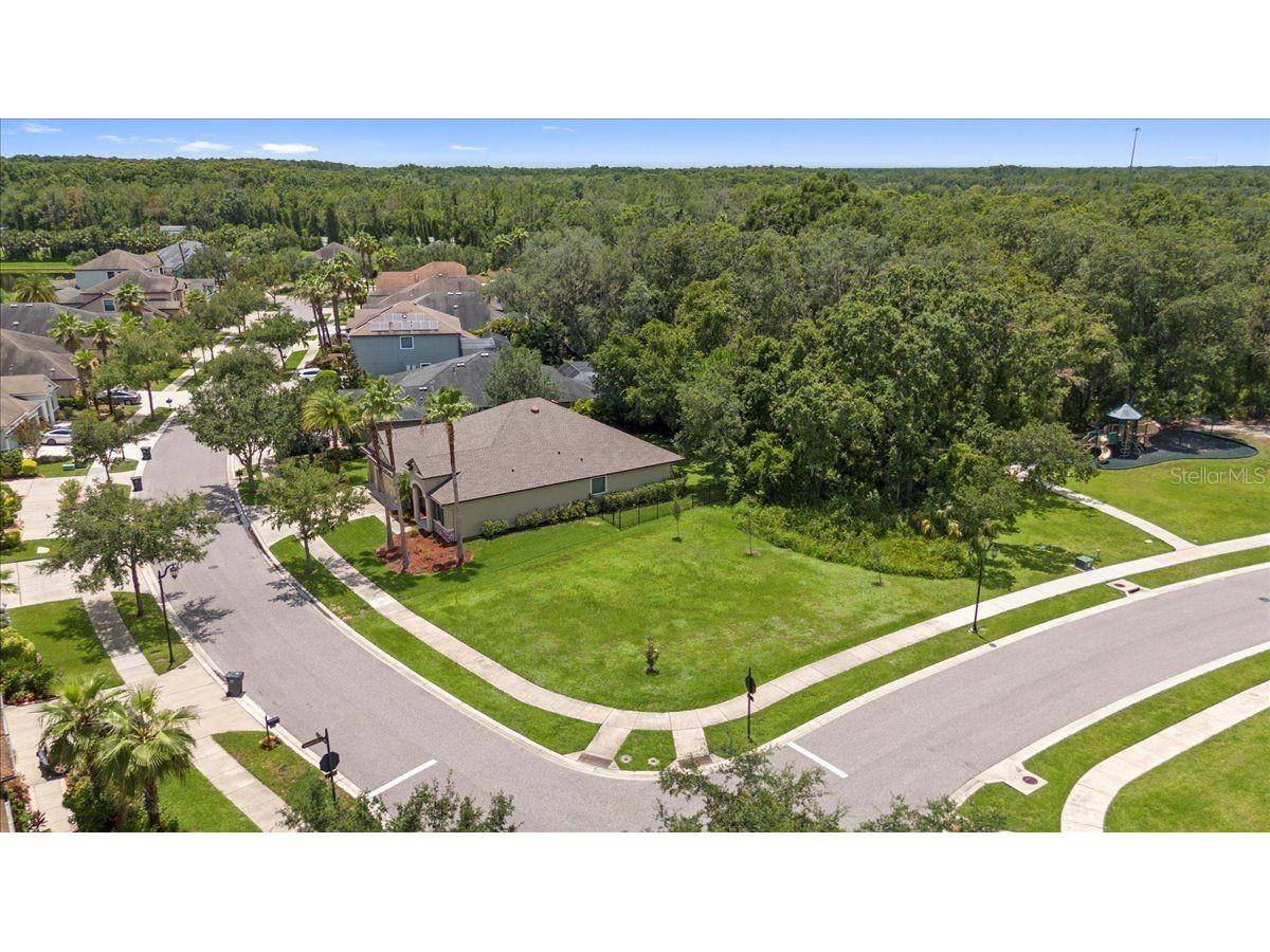 20020 Outpost Point Drive Tampa FL 33647 TB8397979 image69