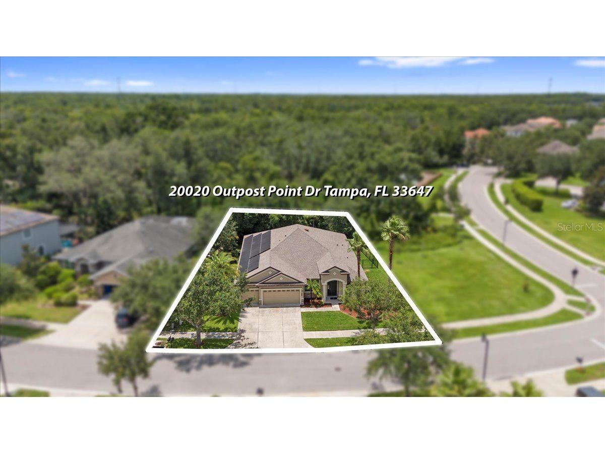 20020 Outpost Point Drive Tampa FL 33647 TB8397979 image71
