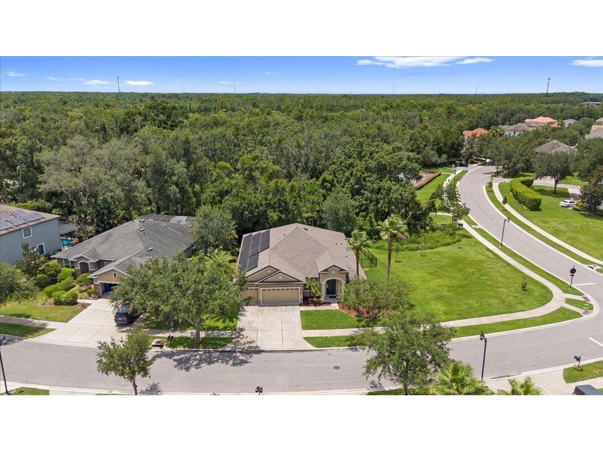 20020 Outpost Point Drive Tampa FL 33647 TB8397979 image72