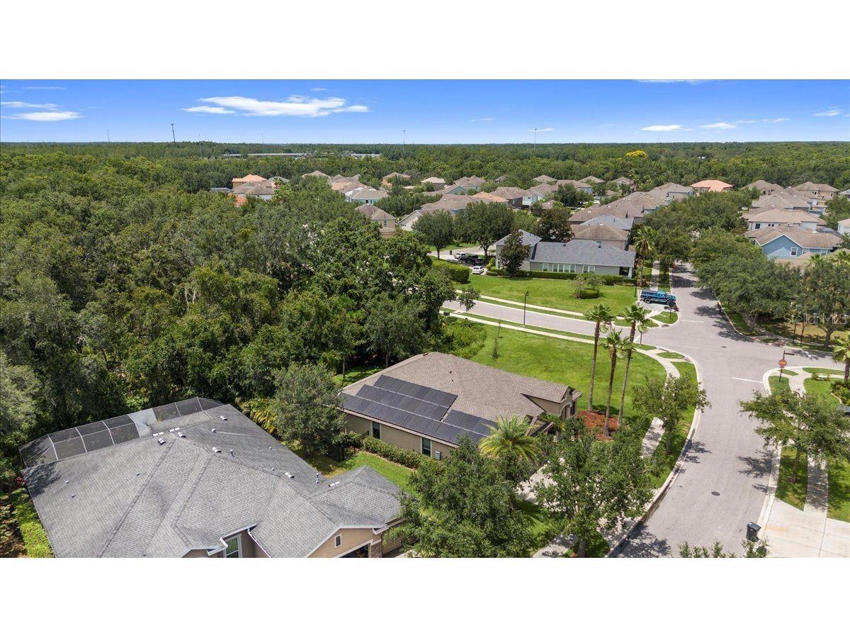 20020 Outpost Point Drive Tampa FL 33647 TB8397979 image73