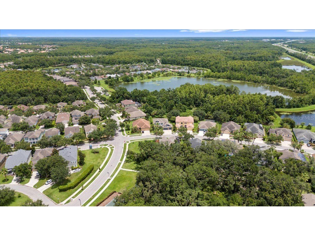 20020 Outpost Point Drive Tampa FL 33647 TB8397979 image76