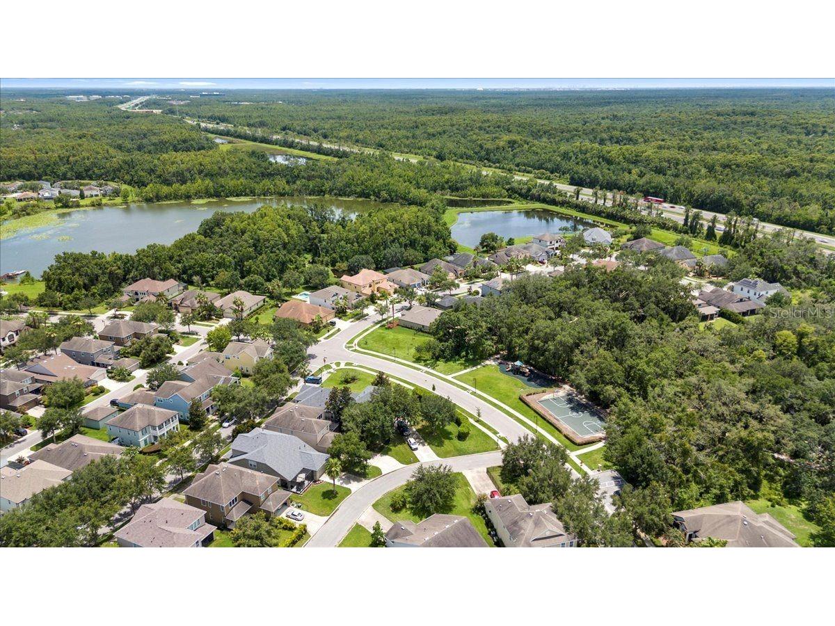 20020 Outpost Point Drive Tampa FL 33647 TB8397979 image77