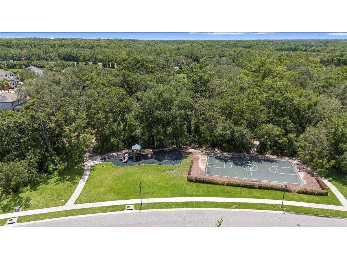 20020 Outpost Point Drive Tampa FL 33647 TB8397979 image78