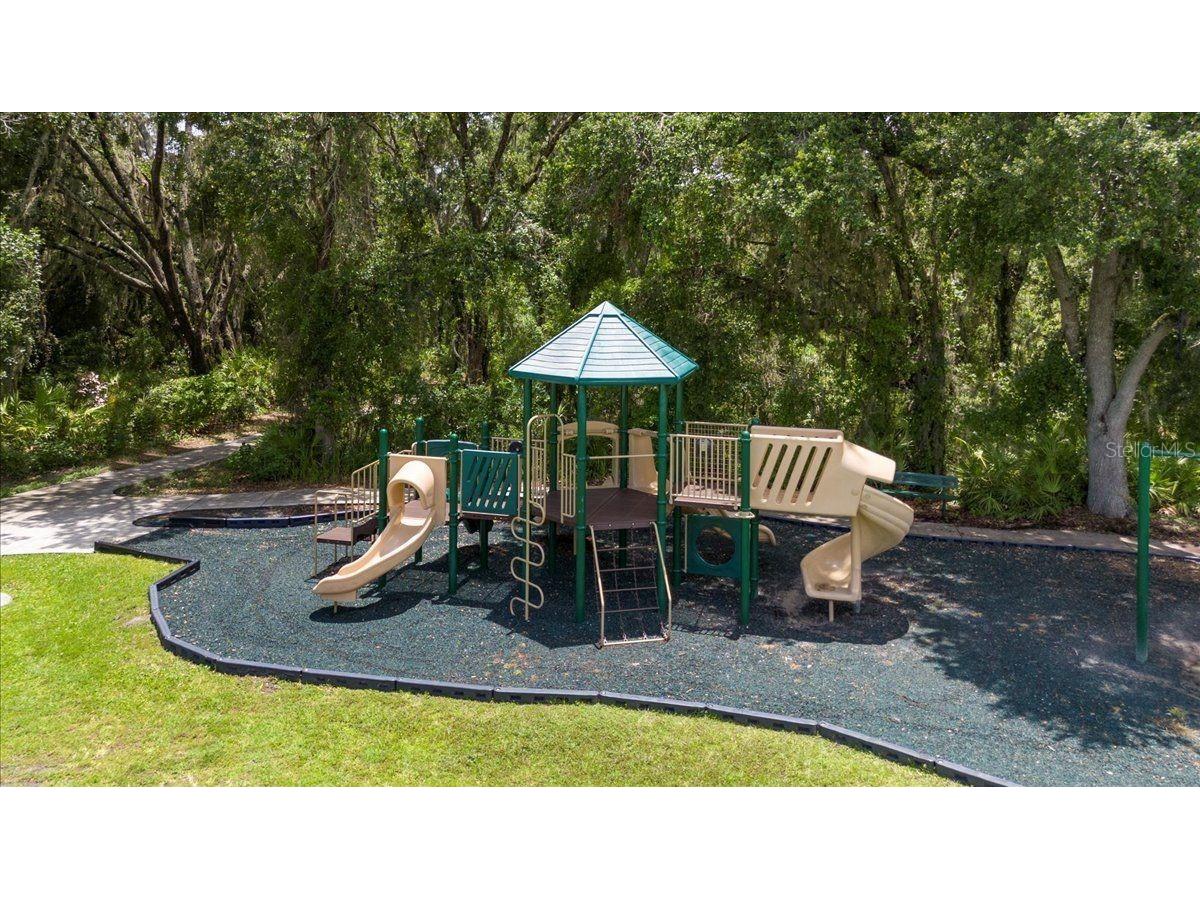 20020 Outpost Point Drive Tampa FL 33647 TB8397979 image79