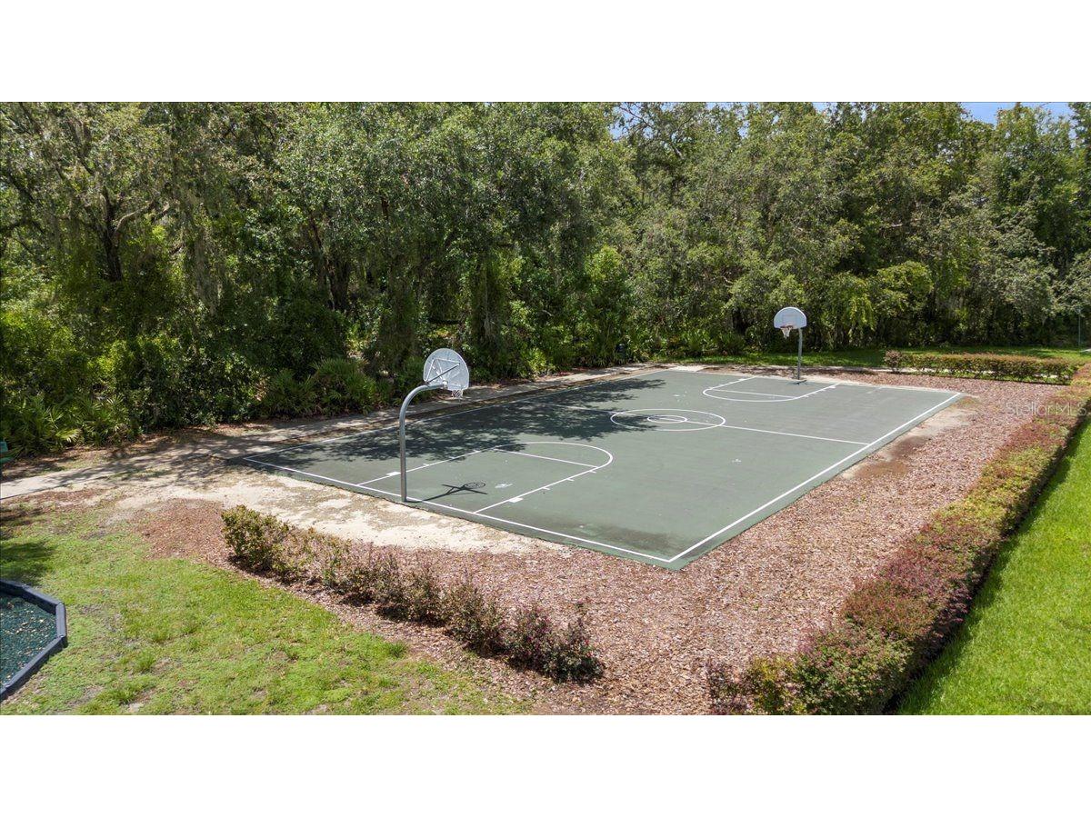 20020 Outpost Point Drive Tampa FL 33647 TB8397979 image80