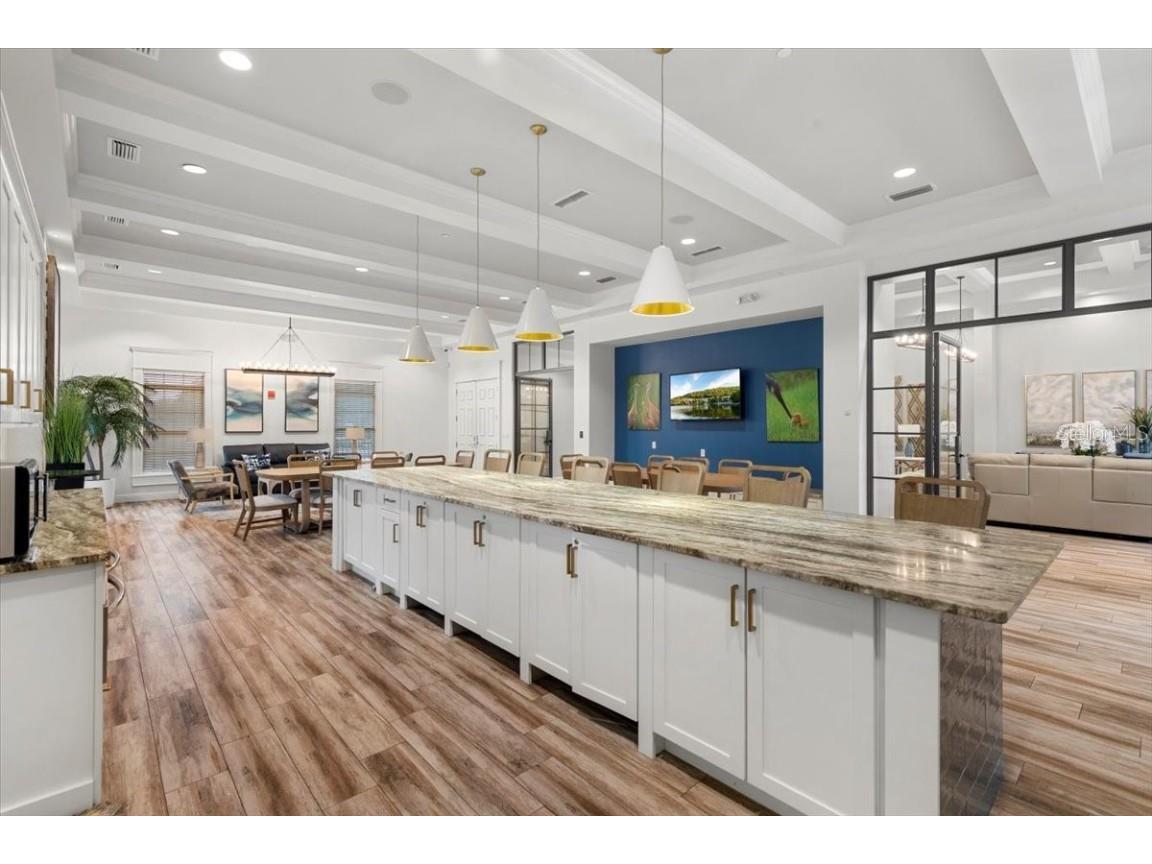 20020 Outpost Point Drive Tampa FL 33647 TB8397979 image90