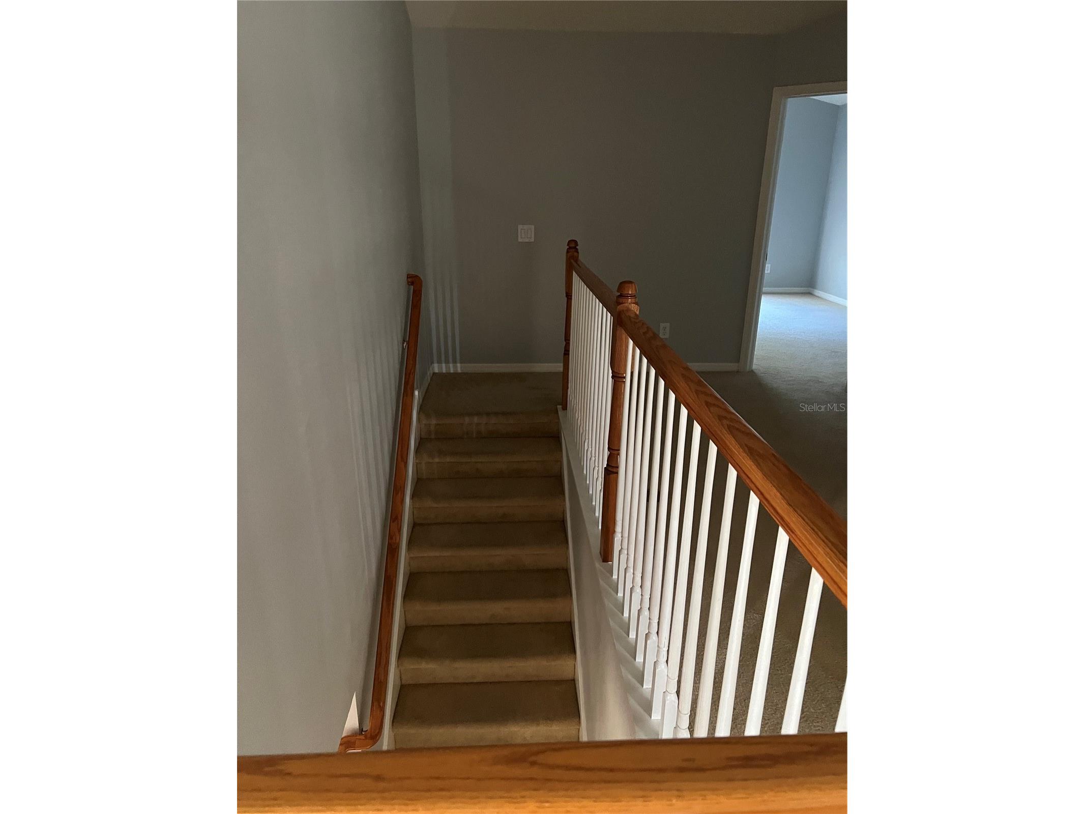 20027 Heritage Pointe Tampa FL 33647 TB8497295 image13