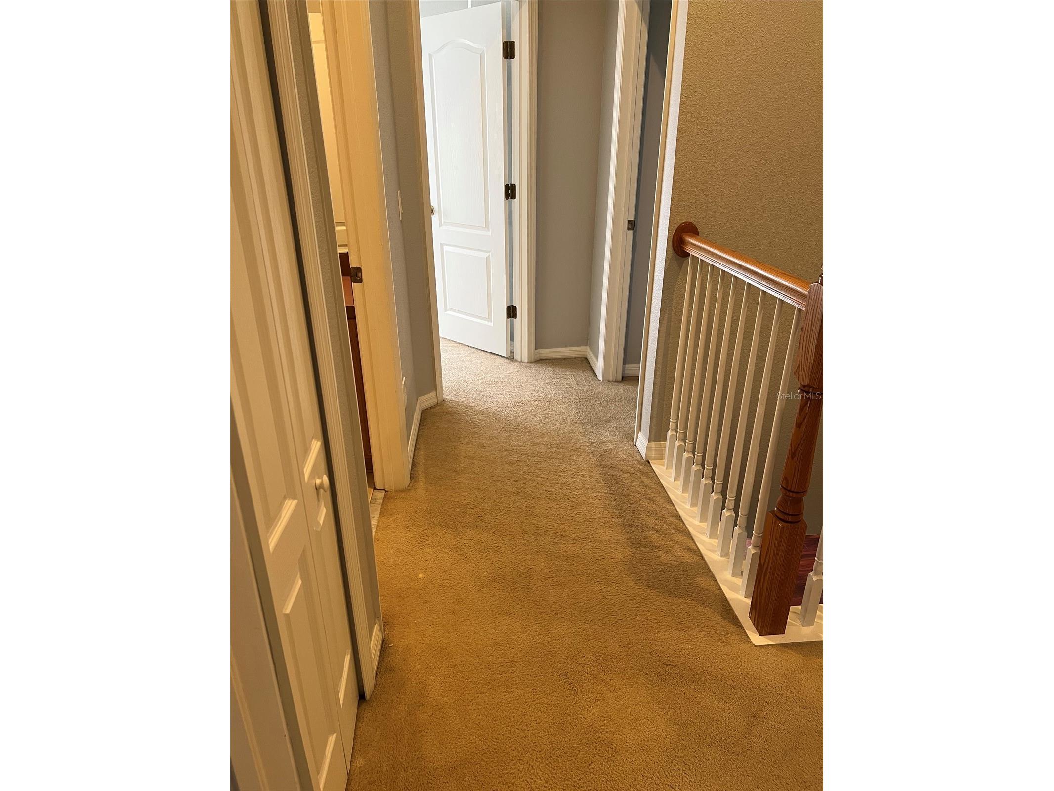 20027 Heritage Pointe Tampa FL 33647 TB8497295 image15