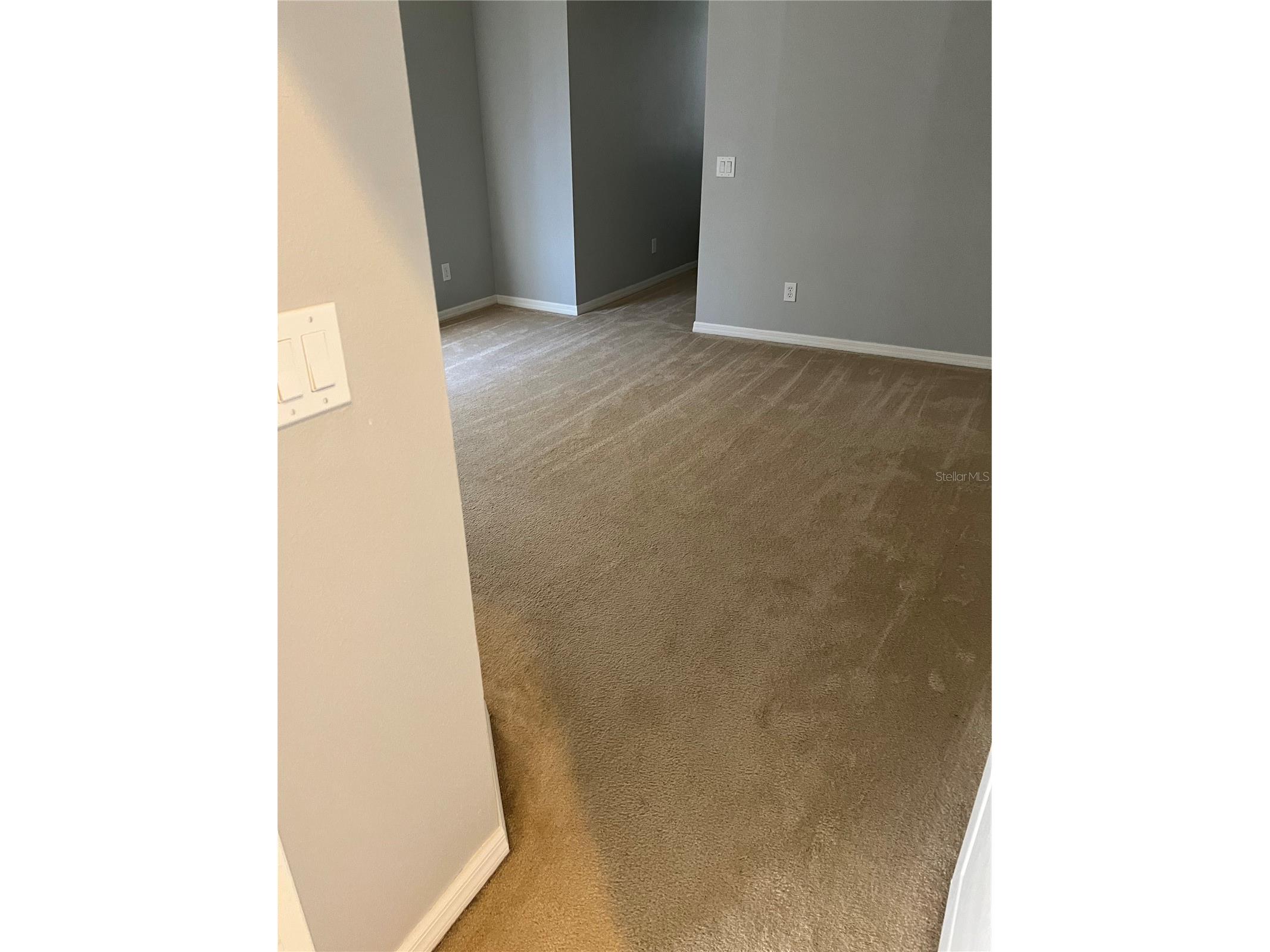 20027 Heritage Pointe Tampa FL 33647 TB8497295 image21