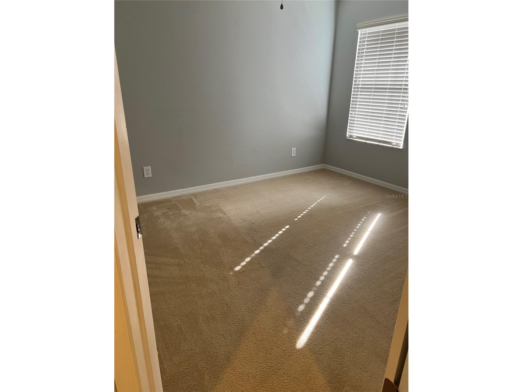 20027 Heritage Pointe Tampa FL 33647 TB8497295 image23