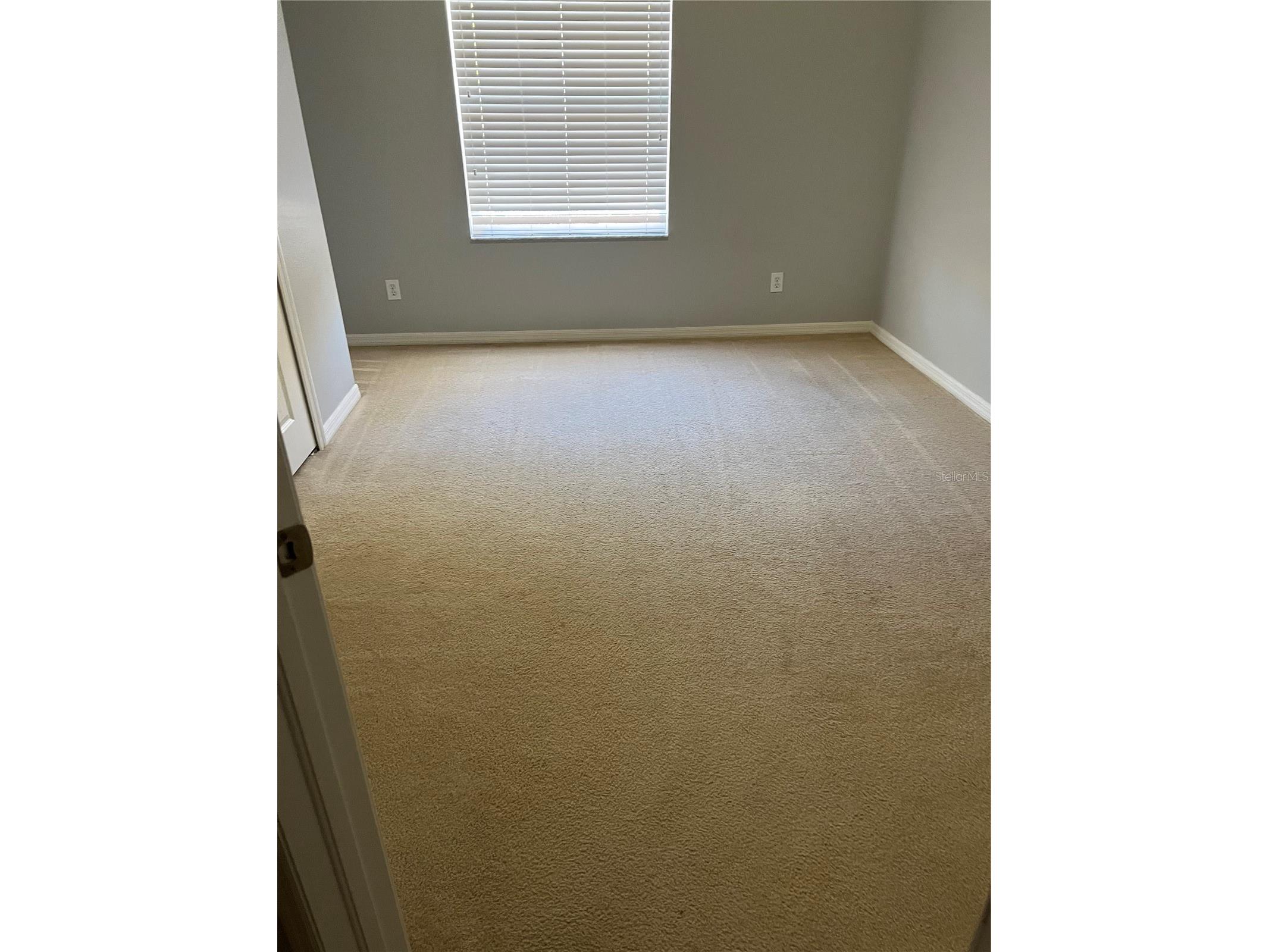 20027 Heritage Pointe Tampa FL 33647 TB8497295 image26