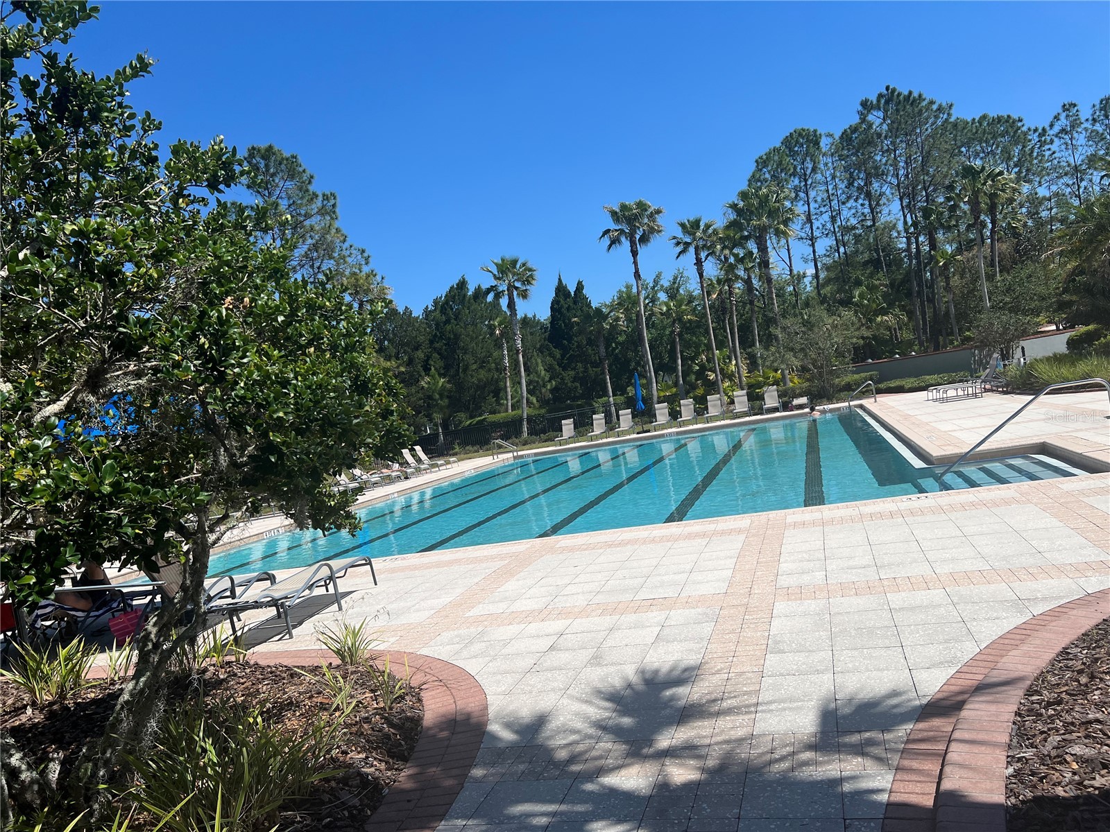 20027 Heritage Pointe Tampa FL 33647 TB8497295 image5
