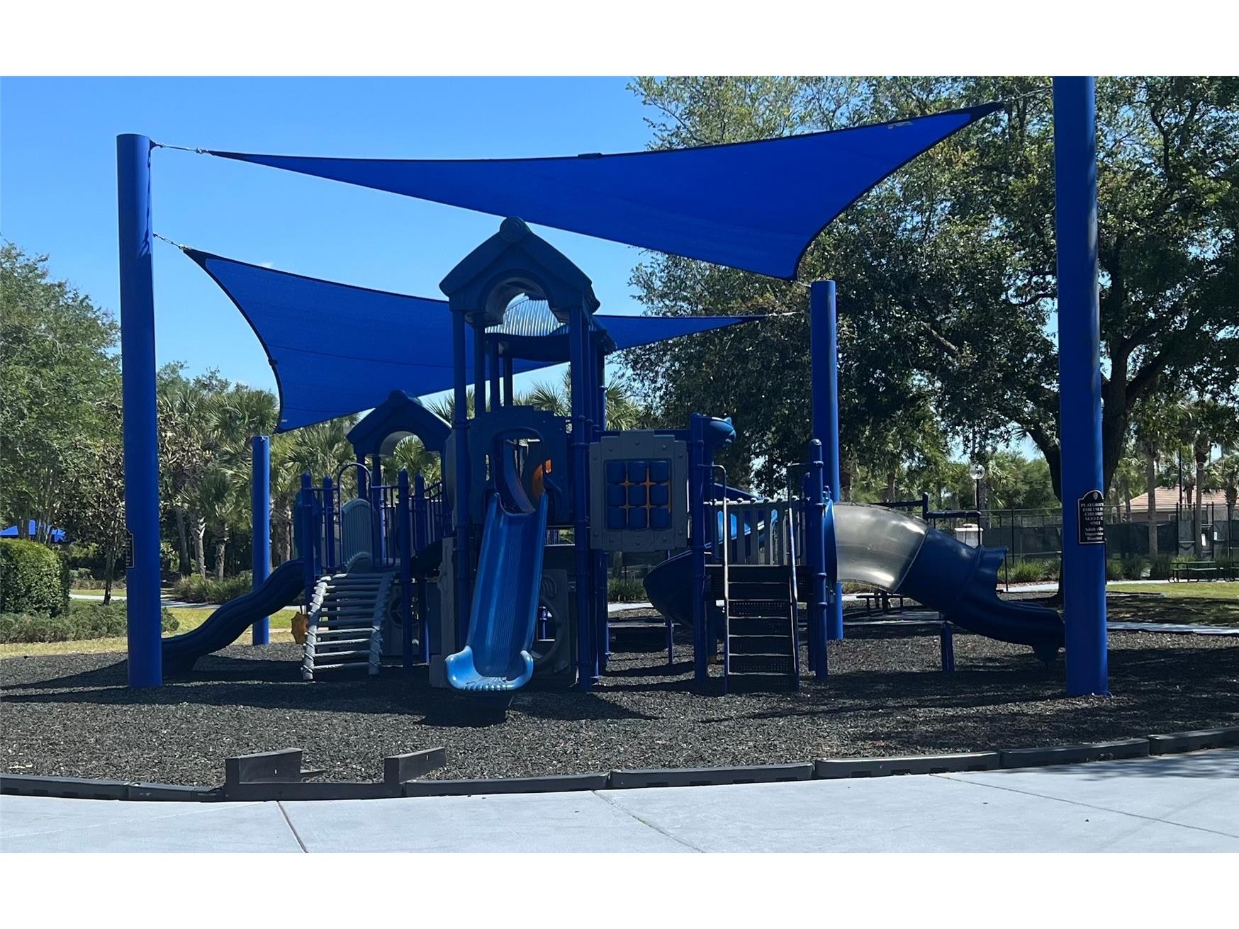 20027 Heritage Pointe Tampa FL 33647 TB8497295 image6