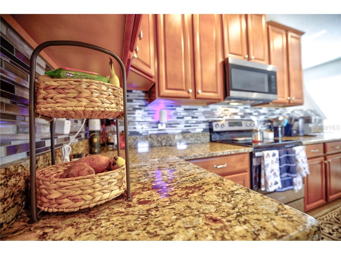 20028 Satin Leaf Avenue Tampa FL 33647 TB8318573 image13