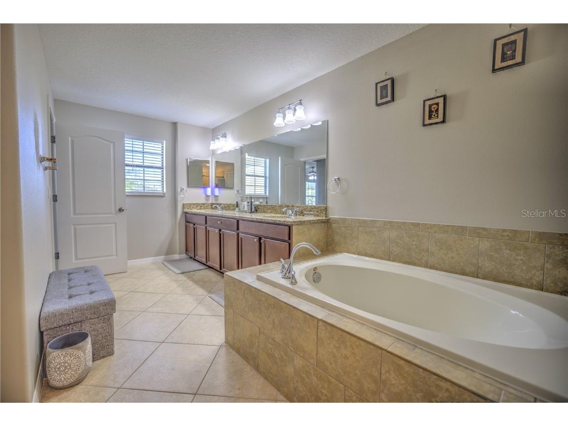 20028 Satin Leaf Avenue Tampa FL 33647 TB8318573 image21