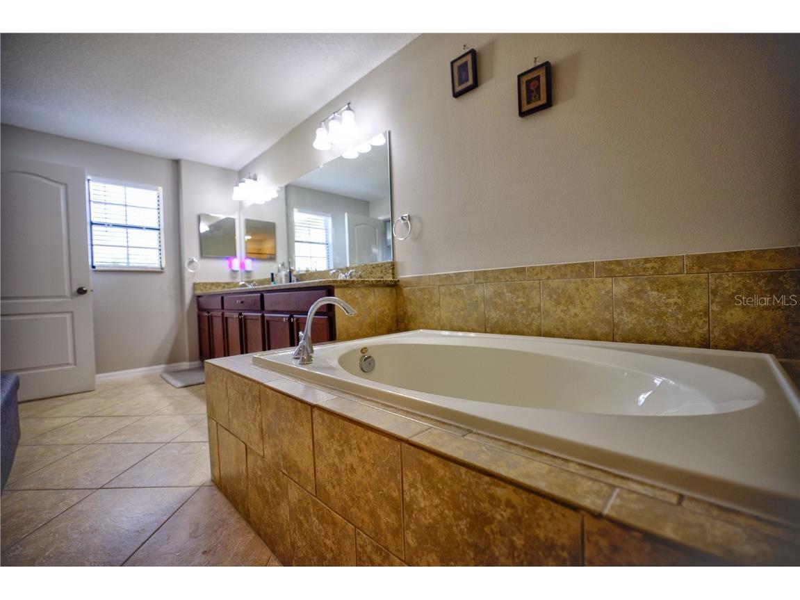 20028 Satin Leaf Avenue Tampa FL 33647 TB8318573 image22