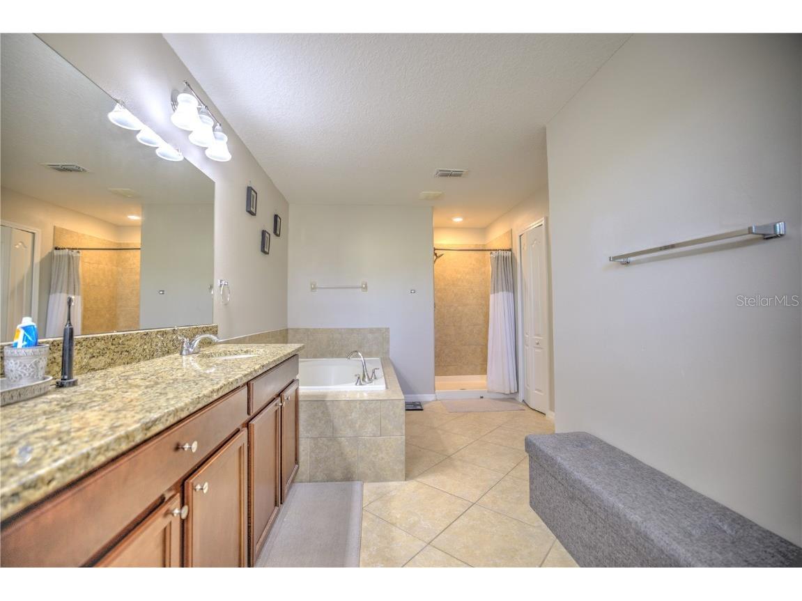 20028 Satin Leaf Avenue Tampa FL 33647 TB8318573 image23