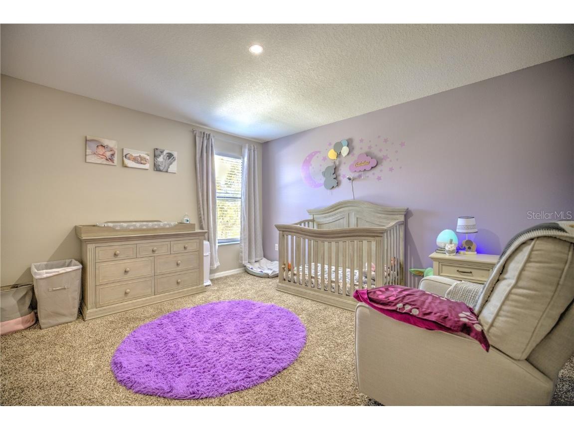 20028 Satin Leaf Avenue Tampa FL 33647 TB8318573 image28