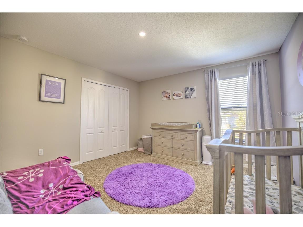 20028 Satin Leaf Avenue Tampa FL 33647 TB8318573 image29