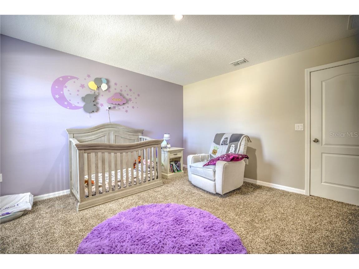 20028 Satin Leaf Avenue Tampa FL 33647 TB8318573 image30