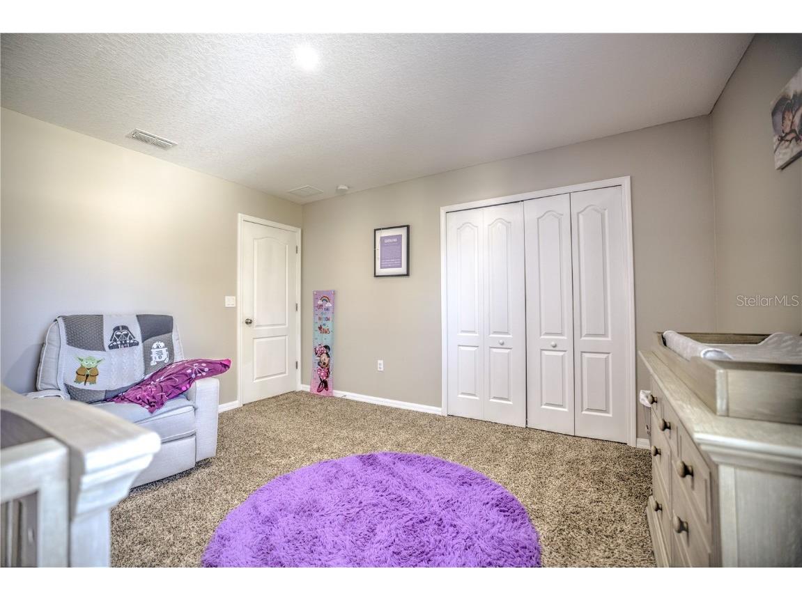 20028 Satin Leaf Avenue Tampa FL 33647 TB8318573 image31