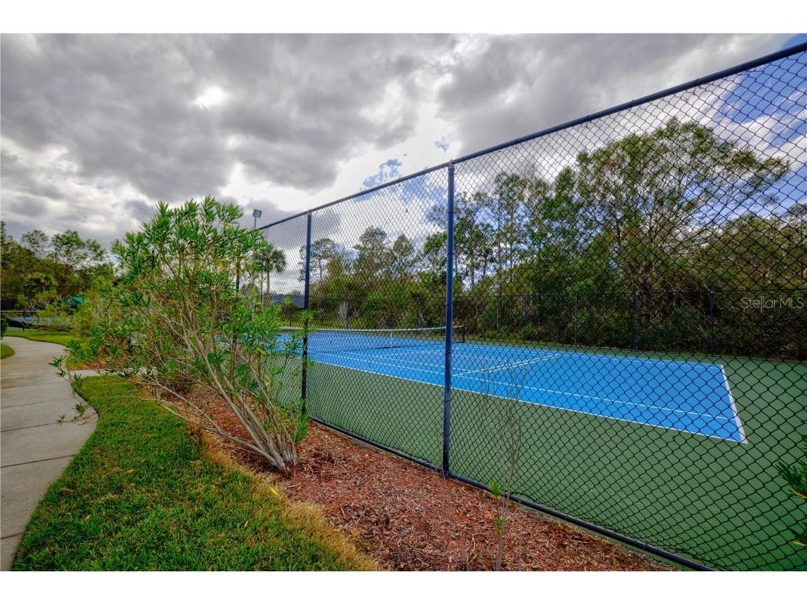 20028 Satin Leaf Avenue Tampa FL 33647 TB8318573 image59