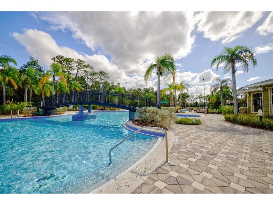 20028 Satin Leaf Avenue Tampa FL 33647 TB8318573 image61