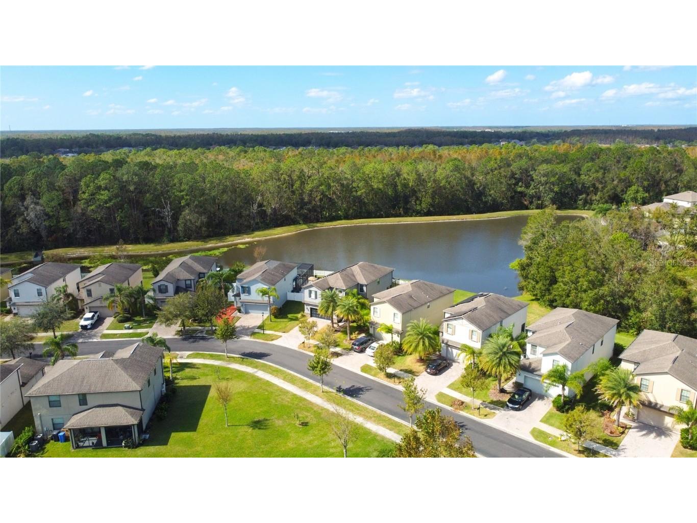 20028 Satin Leaf Avenue Tampa FL 33647 TB8318573 image66