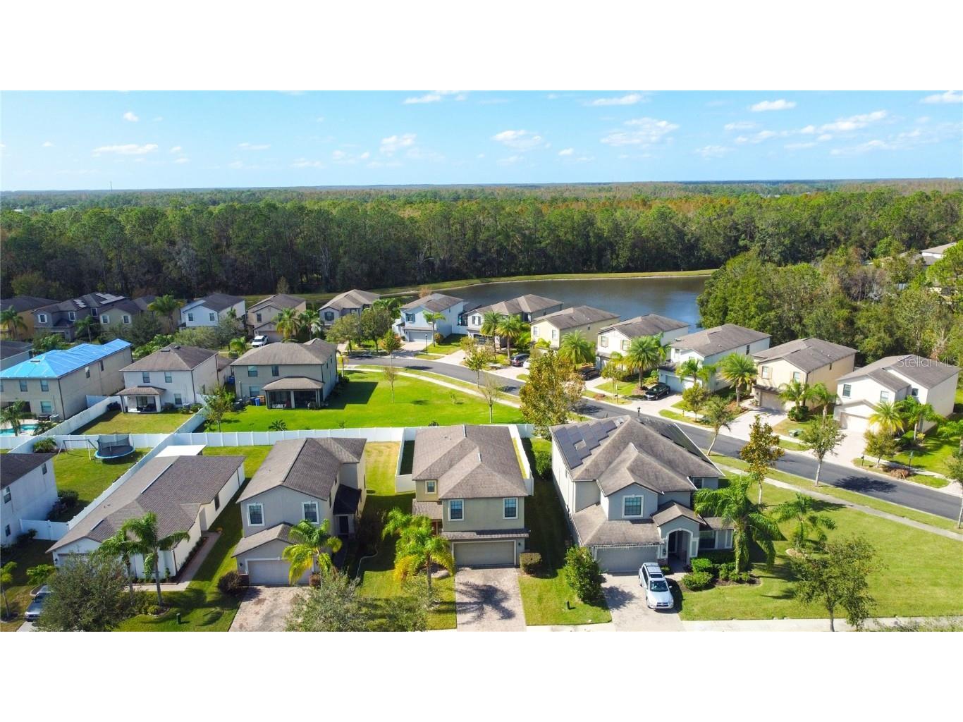 20028 Satin Leaf Avenue Tampa FL 33647 TB8318573 image80