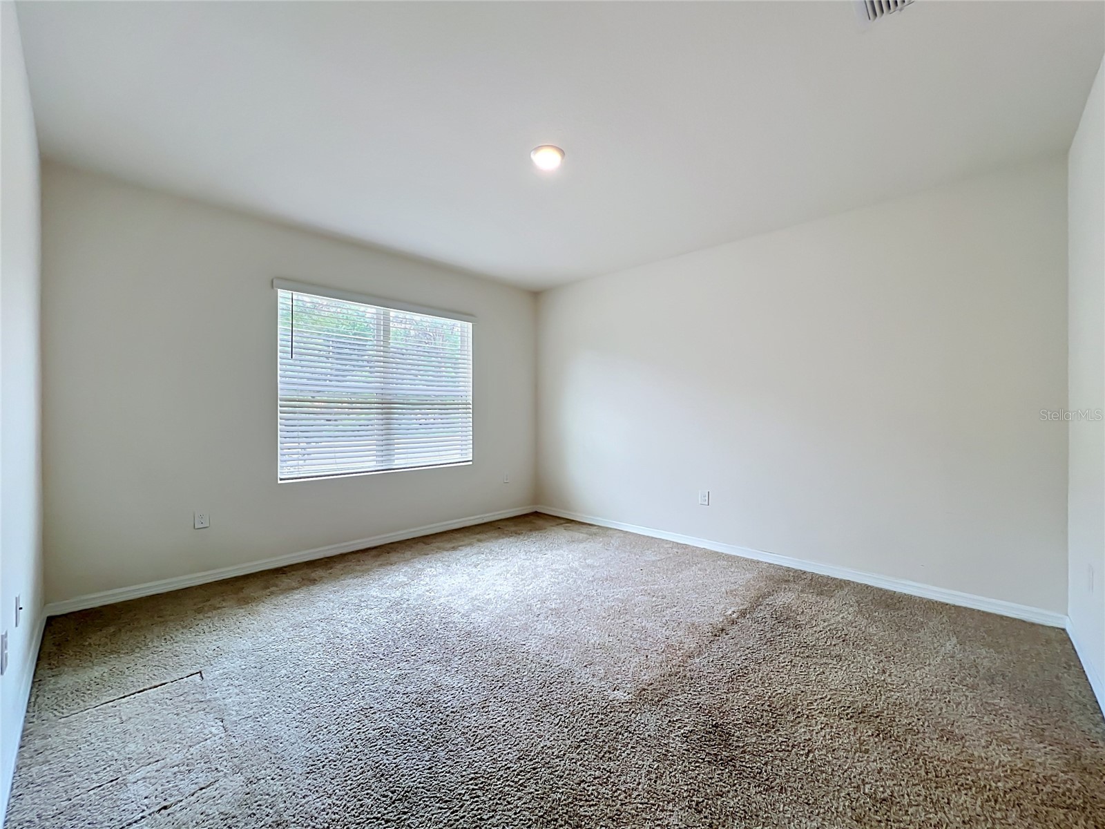 20029 Royal Tern Court Leesburg FL 34748 O6405173 image24