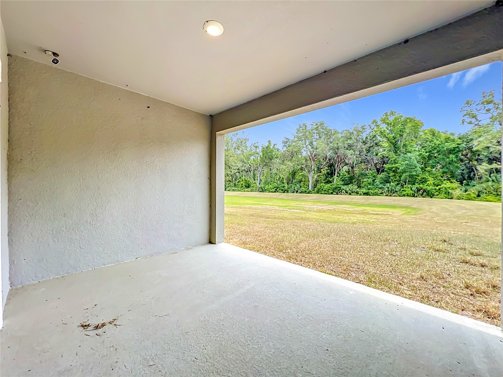 20029 Royal Tern Court Leesburg FL 34748 O6405173 image45