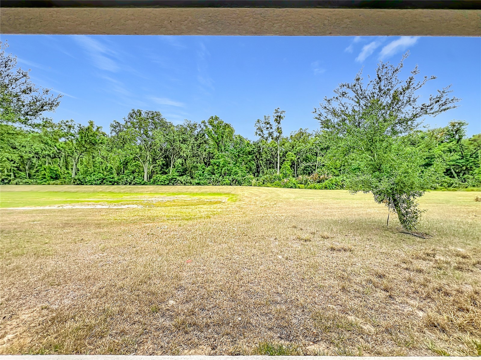 20029 Royal Tern Court Leesburg FL 34748 O6405173 image46
