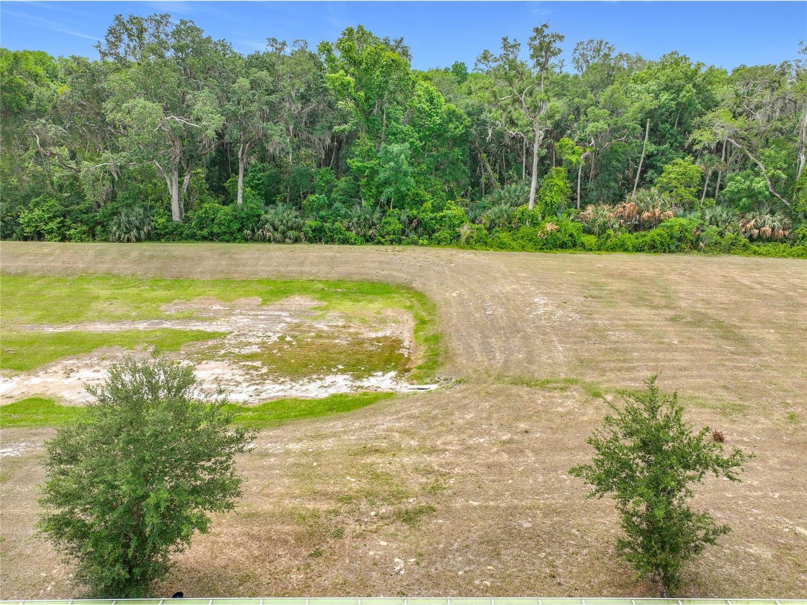 20029 Royal Tern Court Leesburg FL 34748 O6405173 image54