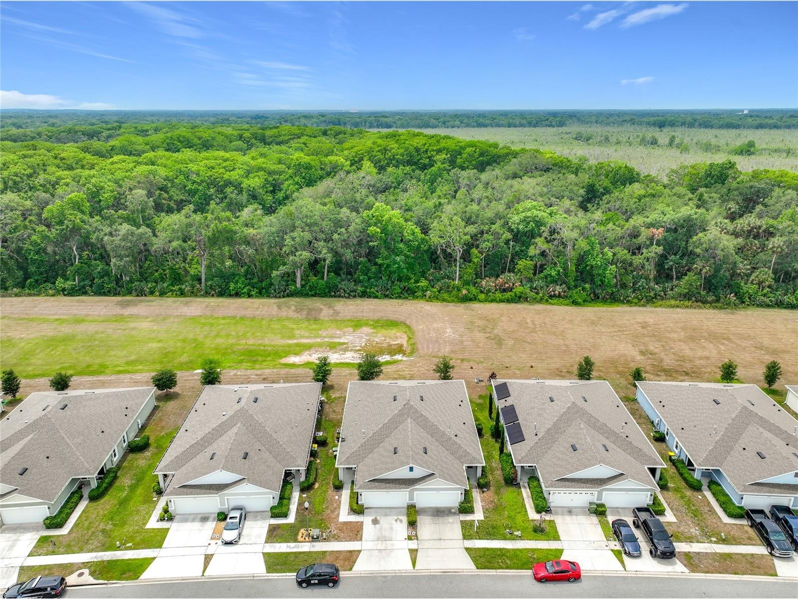 20029 Royal Tern Court Leesburg FL 34748 O6405173 image57