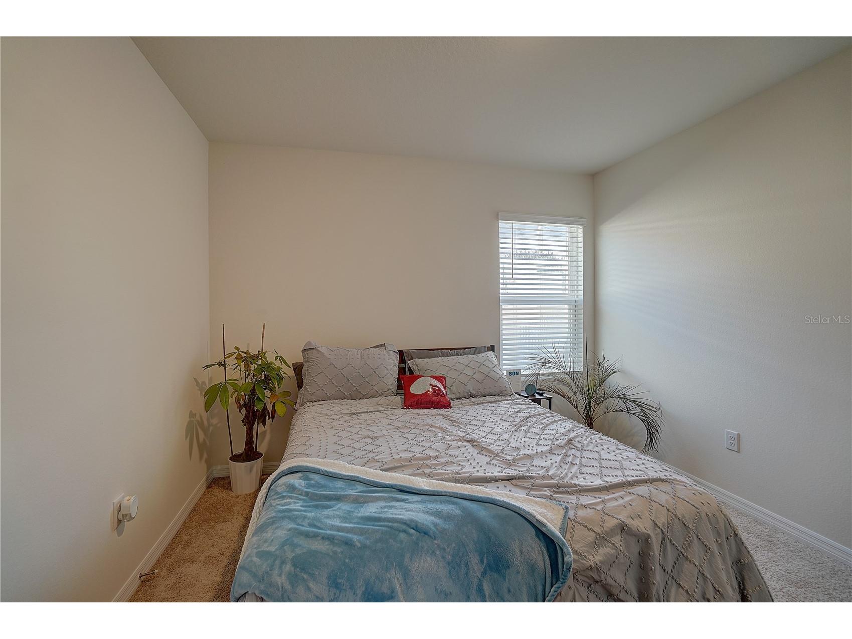 20029 Royal Tern Court Leesburg FL 34748 W7882736 image22