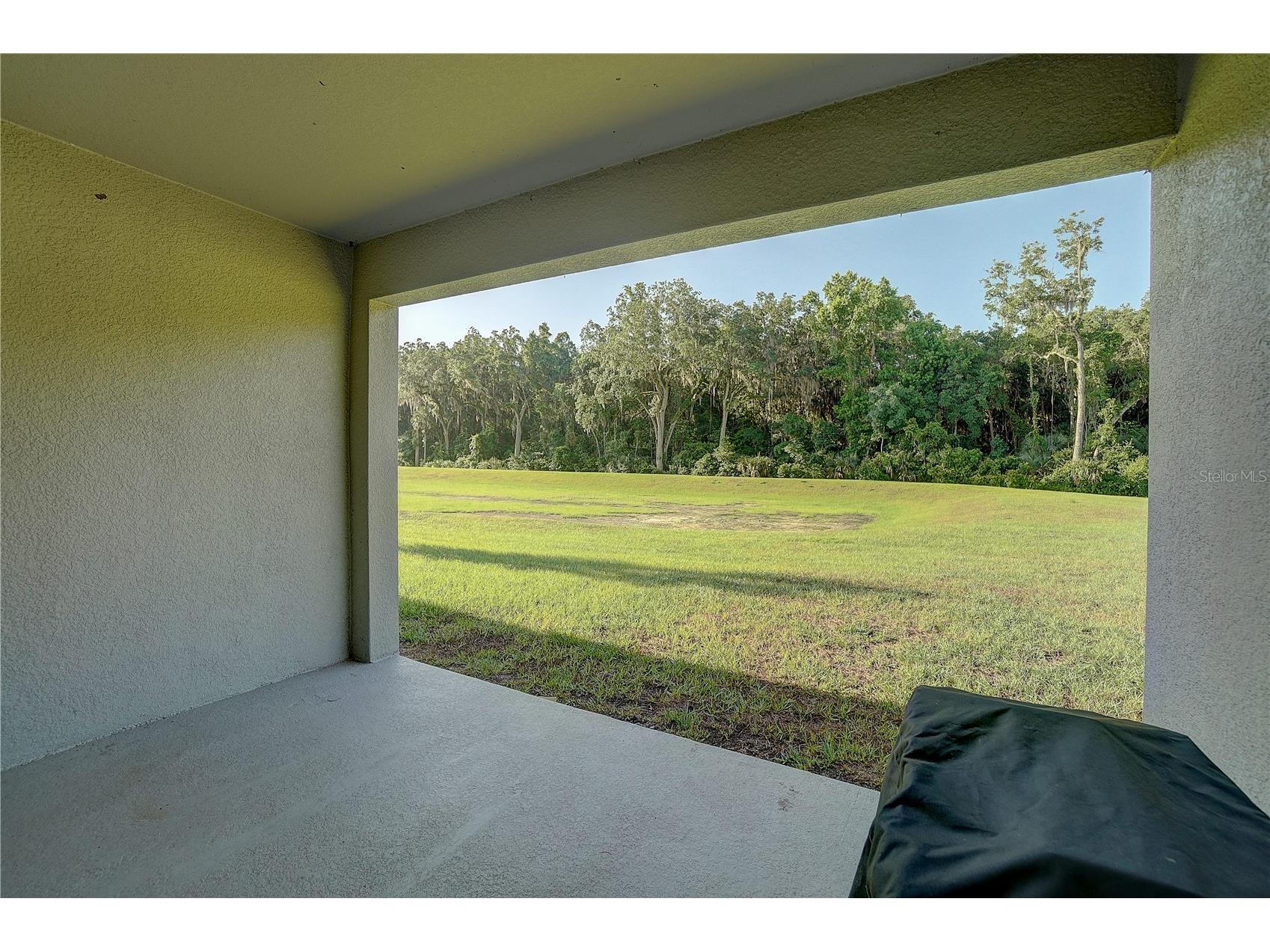 20029 Royal Tern Court Leesburg FL 34748 W7882736 image27