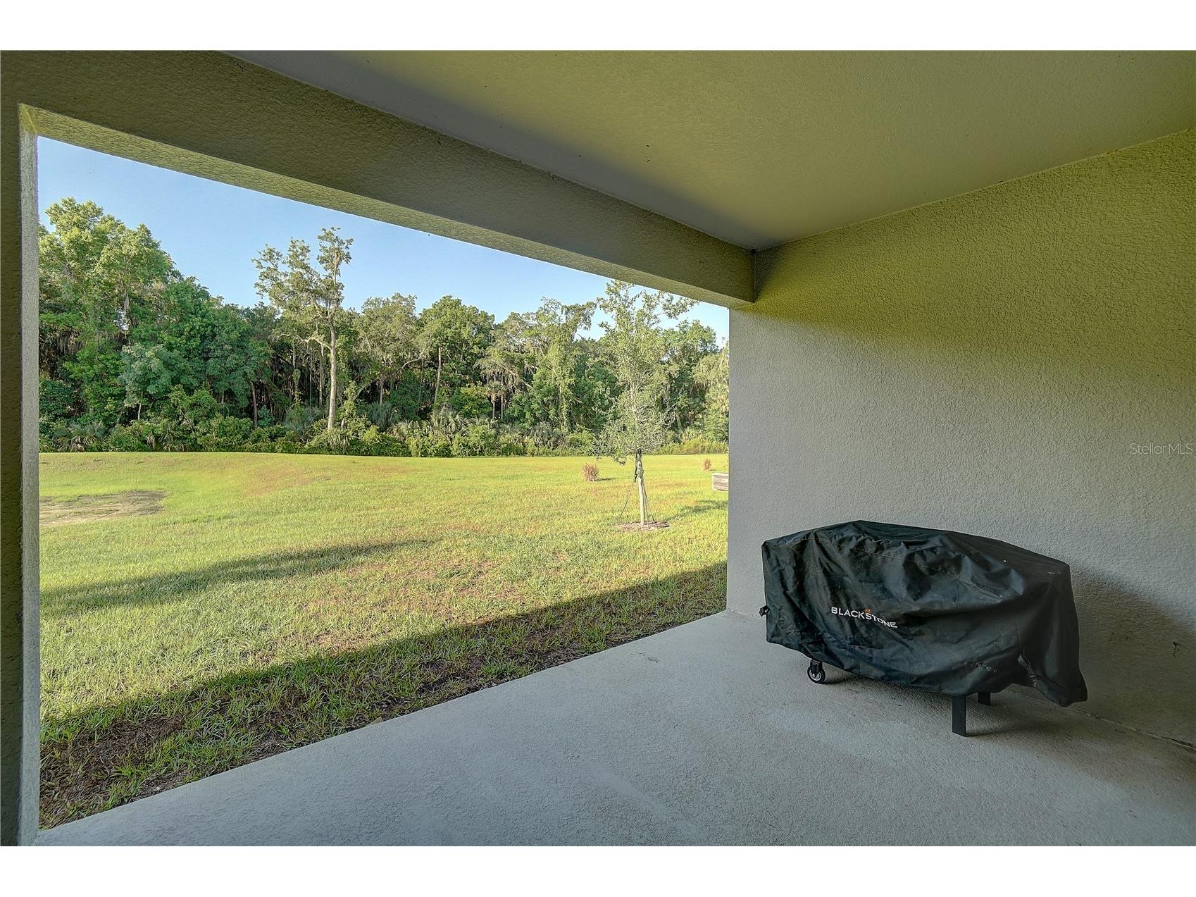 20029 Royal Tern Court Leesburg FL 34748 W7882736 image28