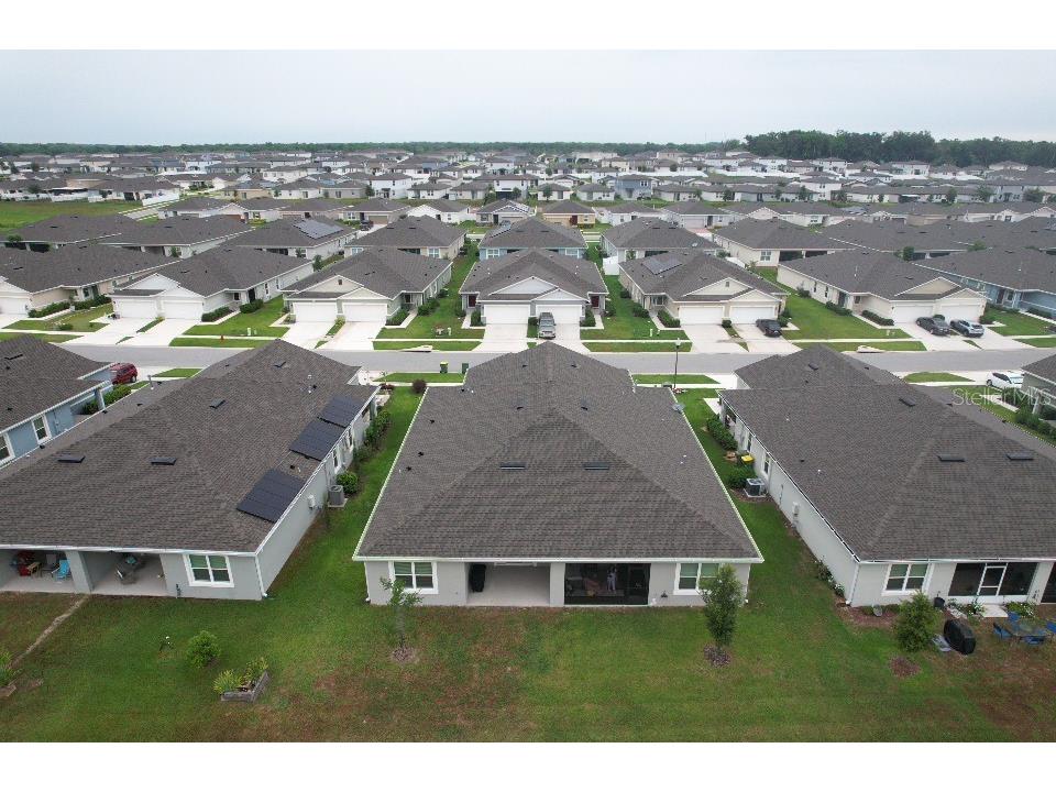 20029 Royal Tern Court Leesburg FL 34748 W7882736 image33