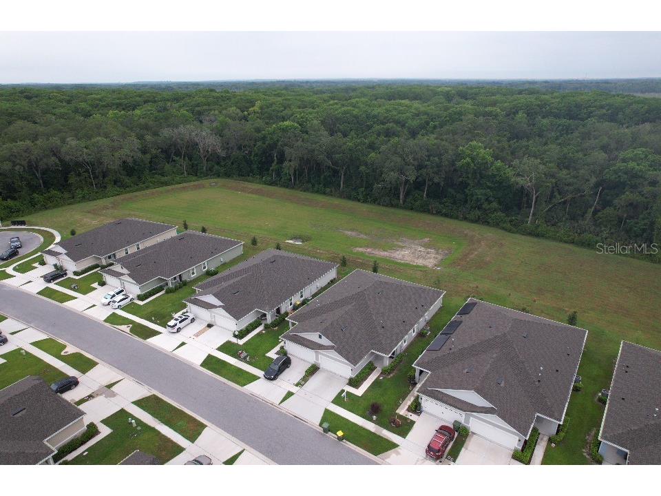 20029 Royal Tern Court Leesburg FL 34748 W7882736 image39