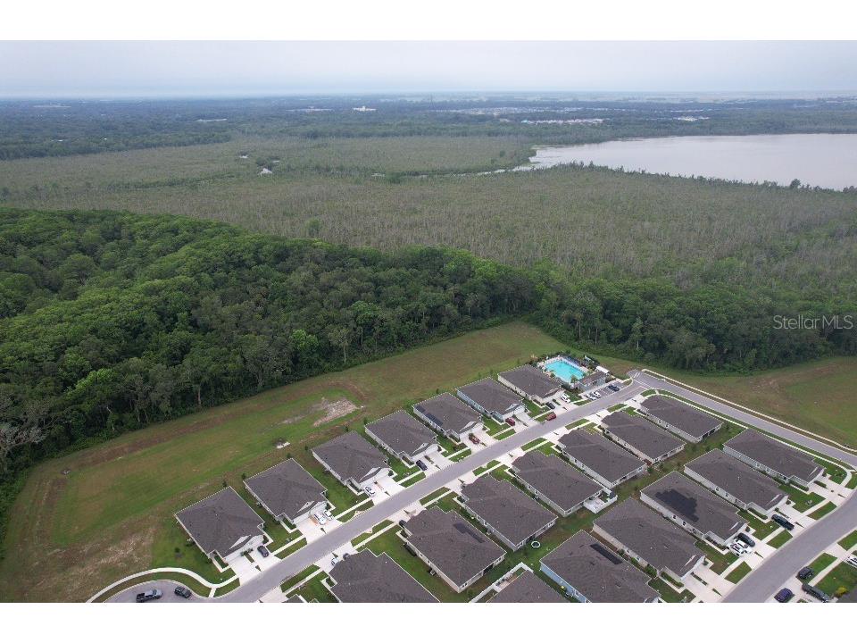 20029 Royal Tern Court Leesburg FL 34748 W7882736 image41